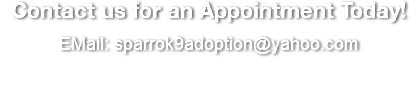Contact us for an Appointment Today! EMail: sparrok9adoption@yahoo.com 